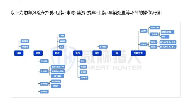 汽车贷款欺诈概览图表（原报告第 5 页）