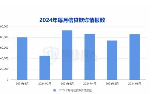 2024 年上半年信贷欺诈攻击情报 46 万条,监测到活跃作恶群组 2700 个图表 1（原报告第 10 页）