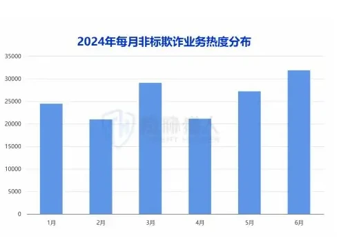 2024 年上半年非标贷款热度持续增长,话题热度较 2023 年下半年增长近 10%图表 1（原报告第 13 页）