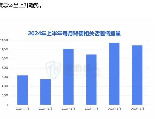 2024 年上半年非标贷款热度持续增长,话题热度较 2023 年下半年增长近 10%图表 2（原报告第 13 页）