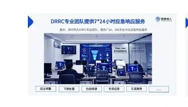 四、威胁猎人数据泄露风险情报服务图表 1（原报告第 47 页）