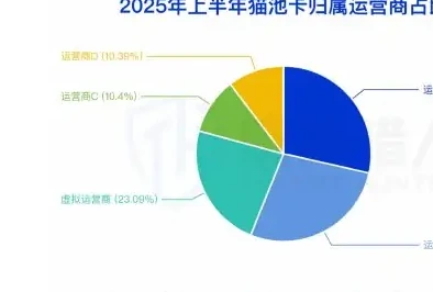 2025 年国内拦截手机卡资源变化趋势图表
