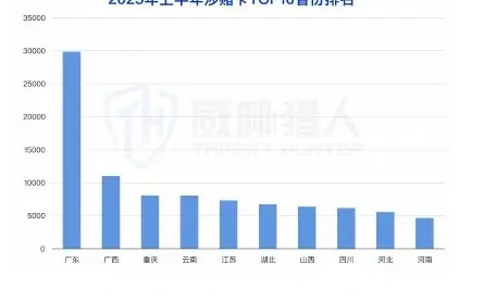 2025 年上半年涉及洗钱银行卡较 2024 年下半年环比上涨图表 2