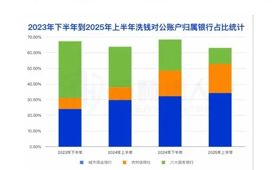 2025 年上半年对公洗钱账户资源变化分析图表 1