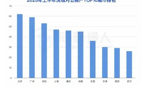 2025 年上半年对公洗钱账户资源变化分析图表 1