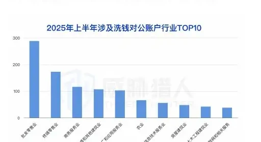 2025 年上半年对公洗钱账户资源变化分析图表 2