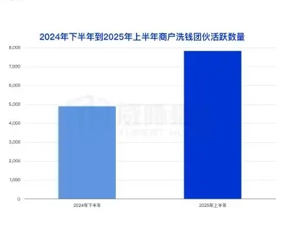 2025 上半年参与洗钱的商户资源变化分析图表