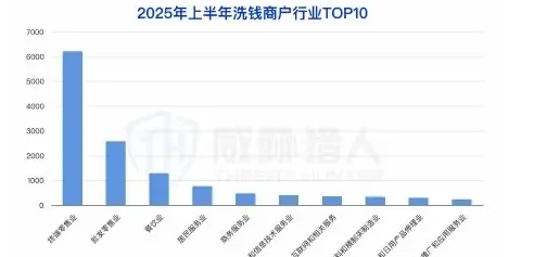 2025 上半年参与洗钱的商户资源变化分析图表 3