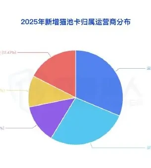 2025 年国内拦截手机卡资源变化趋势图表（原报告第 12 页）