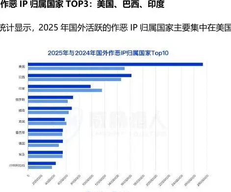 2025 年国外作恶 IP 资源分析图表（原报告第 23 页）