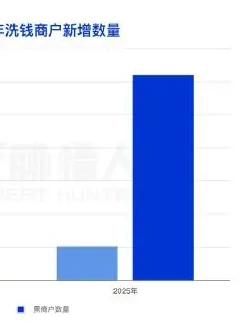 2025 年涉及洗钱的商户资源变化分析图表 1（原报告第 31 页）