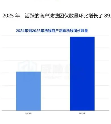 2025 年涉及洗钱的商户资源变化分析图表 2（原报告第 31 页）