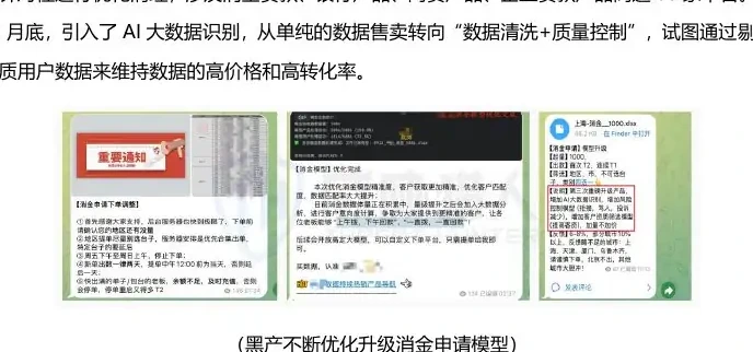“消金申请”风险趋势与产业生态解析图表（原报告第 85 页）