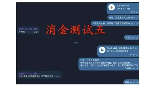 “消金申请”风险趋势与产业生态解析图表（原报告第 86 页）