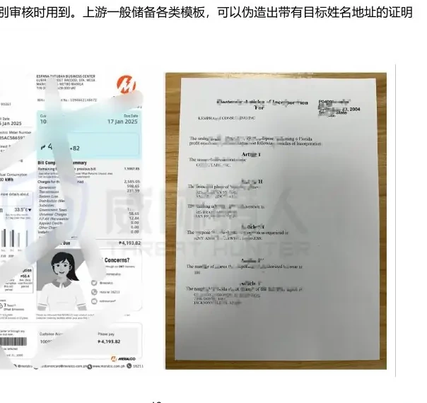 身份物料中的关键要素信息图表 3（原报告第 18 页）