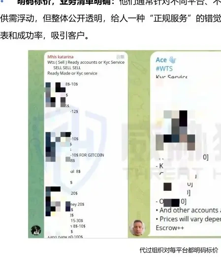 KYC 代过组织的典型特征图表 3（原报告第 24 页）