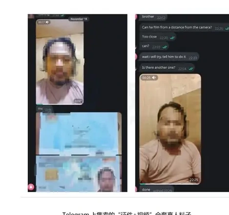 第二阶段:中间加工——视频注入与环境伪装图表 1（原报告第 38 页）